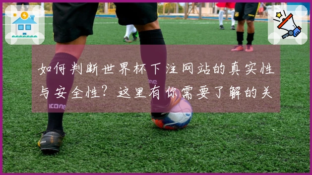 如何判断世界杯下注网站的真实性与安全性？这里有你需要了解的关键点