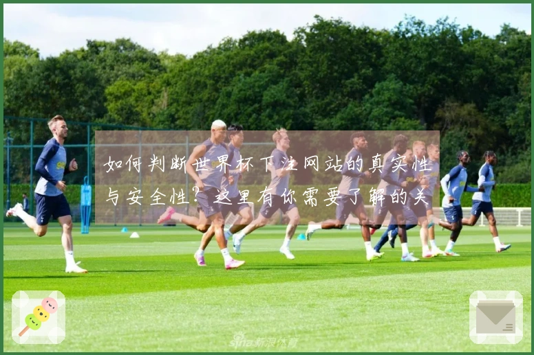 如何判断世界杯下注网站的真实性与安全性？这里有你需要了解的关键点
