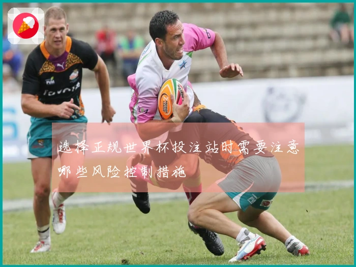 选择正规世界杯投注站时需要注意哪些风险控制措施