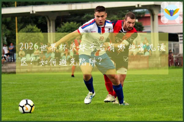2026世界杯买球平台有哪些常见误区？如何避免陷阱？